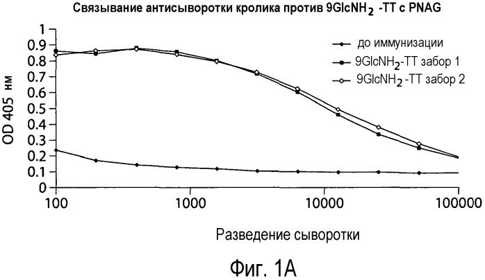 Способы и композиции, относящиеся к синтетическим бета-1,6-глюкозаминолигосахаридам (патент 2532911)