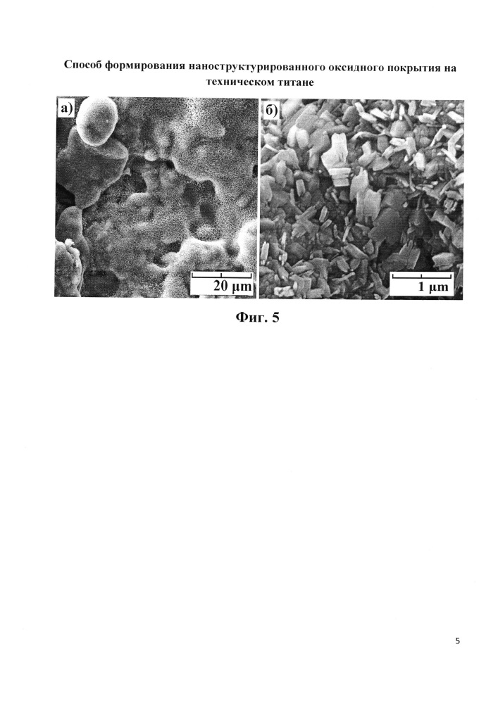 Способ формирования наноструктурированного оксидного покрытия на техническом титане (патент 2650221)