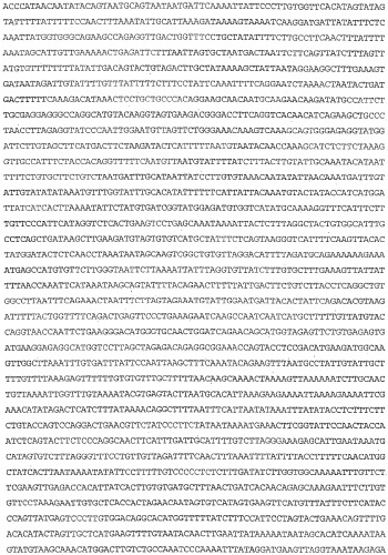 Применение s1p (патент 2362565)