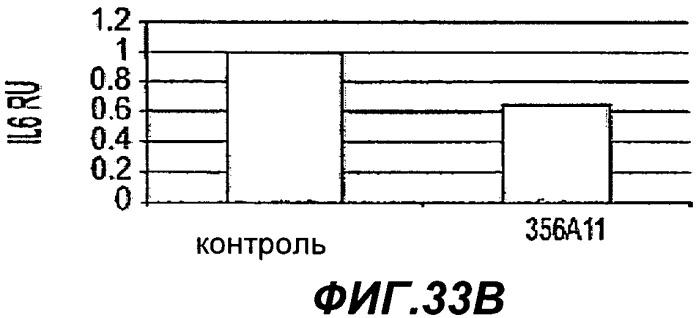 Способы применения антител к il-22 человека (патент 2445976)