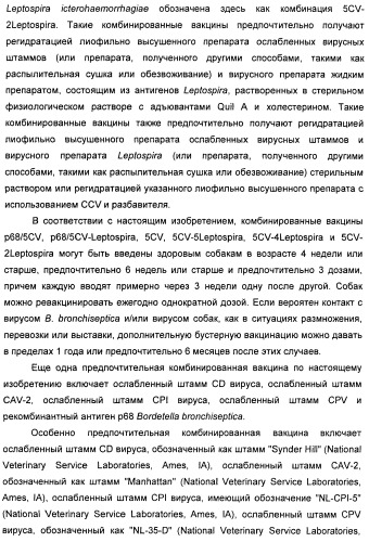 Поливалентные вакцины для собак против leptospira bratislava и других патогенов (патент 2400248)