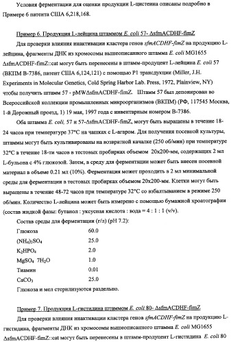 Способ получения l-треонина с использованием бактерии, принадлежащей к роду escherichia, в которой инактивирован кластер генов sfmacdfh-fimz или ген fimz (патент 2333953)