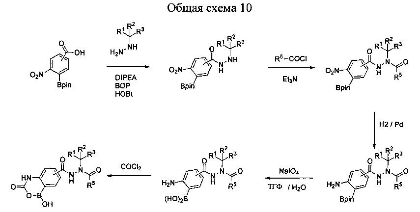 Борсодержащие диацилгидразины (патент 2637946)