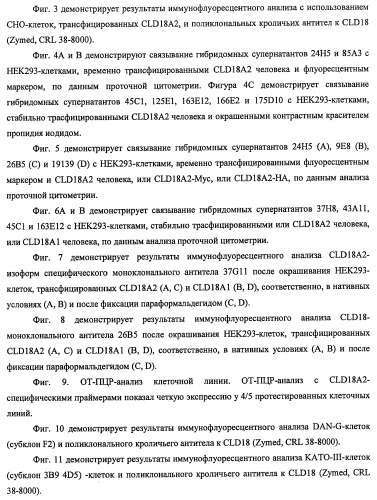 Моноклональные антитела к клаудину-18 для лечения рака (патент 2445319)