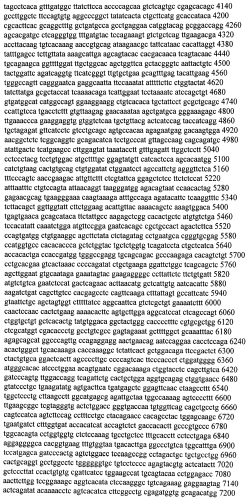 Модуляция экспрессии гентингтина (патент 2562861)