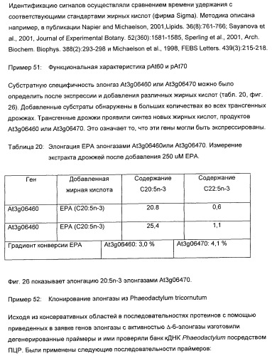 Способ получения полиненасыщенных жирных кислот в трансгенных растениях (патент 2449007)