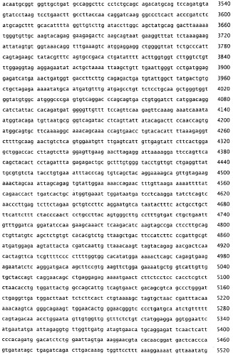 Применение s1p (патент 2362565)