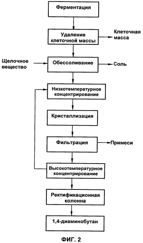 Способ выделения и очистки 1,4-диаминобутана из ферментационного раствора (патент 2573935)