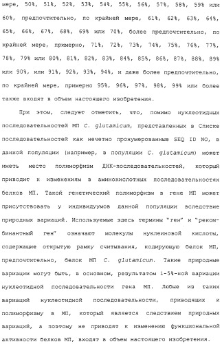 Гены corynebacterium glutamicum, кодирующие белки метаболических путей (патент 2306339)