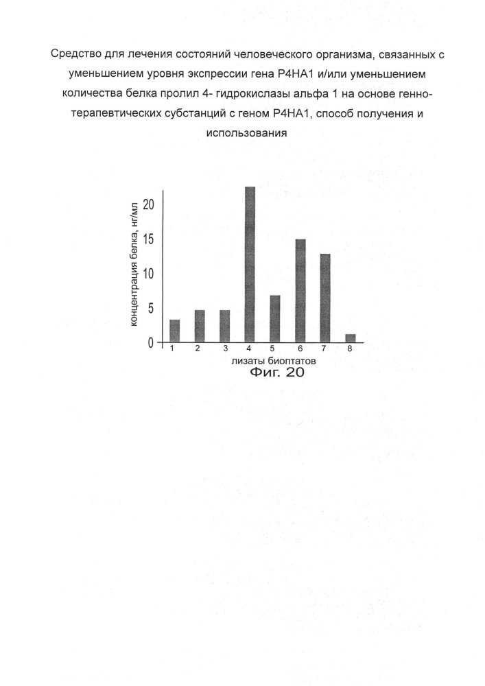 Средство для лечения состояний человеческого организма, связанных с уменьшением уровня экспрессии гена р4на1 и/или уменьшением количества белка пролил 4- гидрокислазы альфа 1 на основе генно-терапевтических субстанций с геном р4на1, способ получения и использования (патент 2658428)