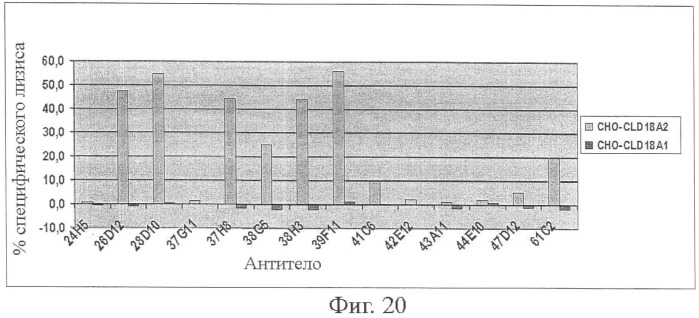 Моноклональные антитела к клаудину-18 для лечения рака (патент 2445319)