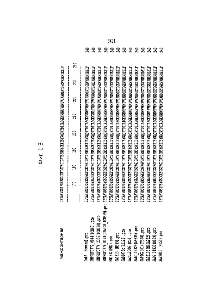 Лейкоцидины staphylococcus aureus, терапевтические композиции и их применение (патент 2644237)