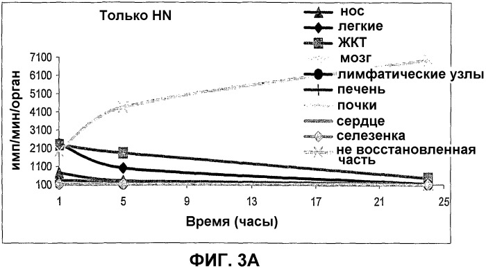 Сфингоидные полиалкиламиновые конъюгаты для вакцинации (патент 2361577)