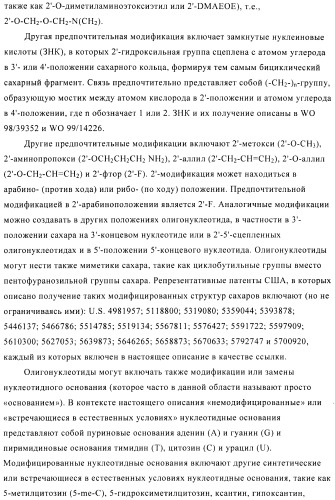 Композиции и способы диагностики и лечения опухоли (патент 2423382)