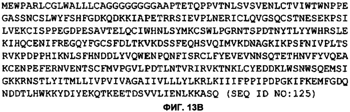 Il-13 связывающие агенты (патент 2434881)