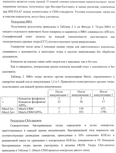 Иммуногены для вакцин против менингита а (патент 2412944)