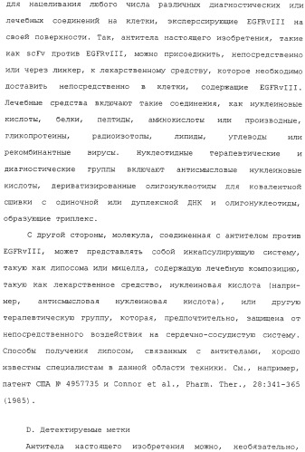 Scfv против egfrviii с улучшенной цитотоксичностью и выходом, иммунотоксины на их основе и способы их применения (патент 2317999)