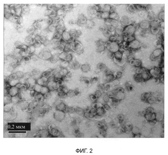 Липосомы иринотекана или его солей, способ их получения (патент 2526114)