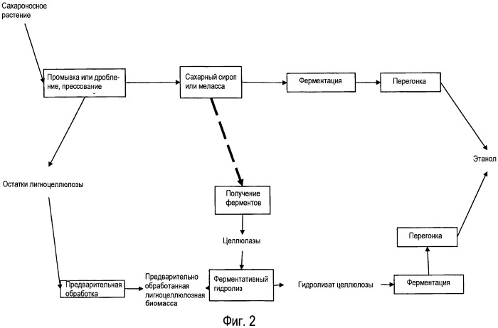 Способ получения спирта в контексте биорафинирования (патент 2508403)