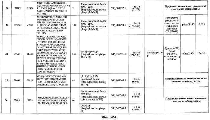 Бактериофаг, обладающий активностью против pseudomonas aeruginosa, белки бактериофага и способы их применения (патент 2580248)