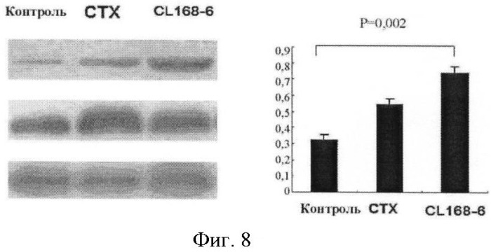 Производные стерина и их синтез и применение (патент 2507211)