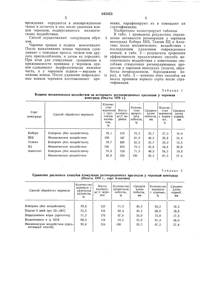 Способ стимулирования регенерационныхпроцессов у прививок винограда (патент 843853)