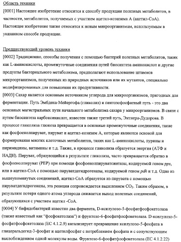 Использование фосфокетолазы для продукции полезных метаболитов (патент 2322496)