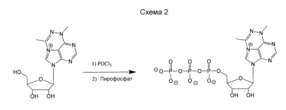 Модифицированные нуклеозиды, нуклеотиды и нуклеиновые кислоты и их применение (патент 2648950)