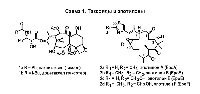 Синтез эпотилонов, их промежуточных продуктов, аналогов и их применения (патент 2462463)