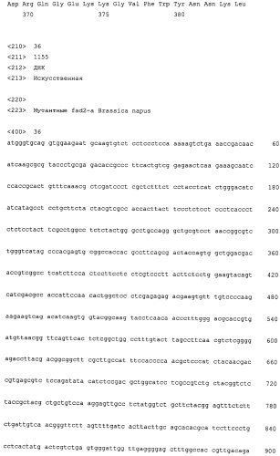 Brassica juncea качества омега-9 (патент 2557316)