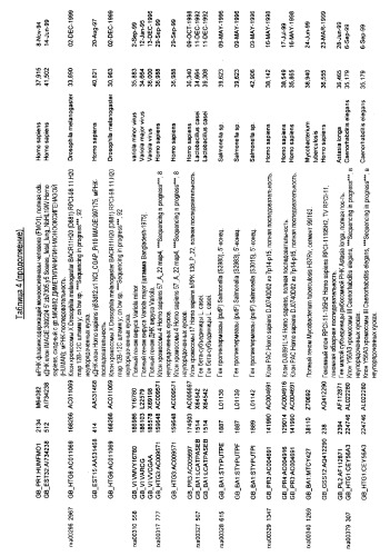 Гены corynebacterium glutamicum, кодирующие белки, участвующие в метаболизме углерода и продуцировании энергии (патент 2321634)