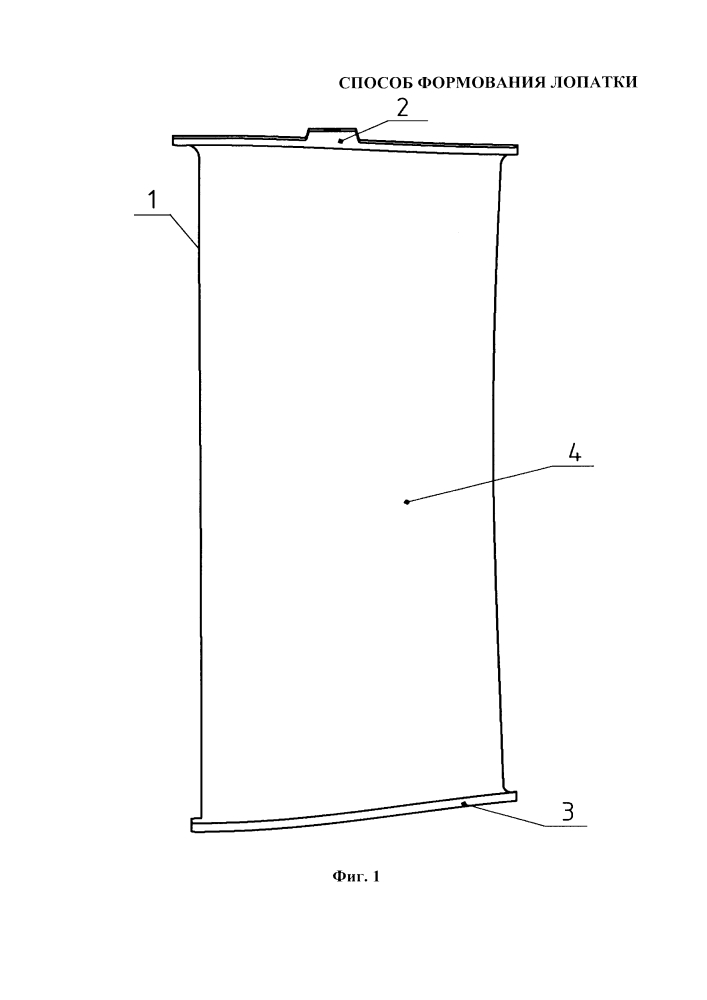 Способ формования лопатки спрямляющего аппарата (патент 2640889)