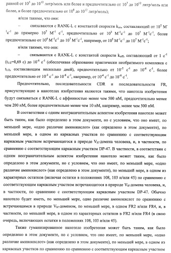 Аминокислотные последовательности, направленные на rank-l, и полипептиды, включающие их, для лечения заболеваний и нарушений костей (патент 2481355)