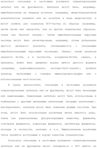 Антитела против вируса гепатита с (патент 2462475)