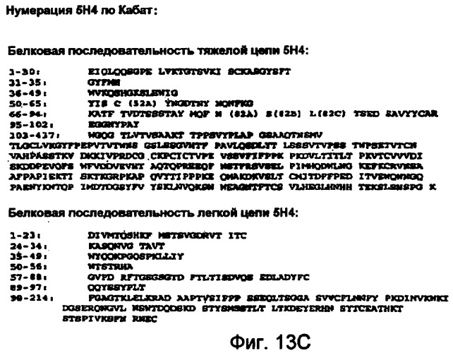 Способы профилактики и лечения ракового метастаза и разрежения кости, связанного с раковым метастазом (патент 2470665)