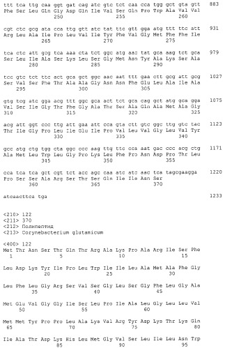 Гены corynebacterium glutamicum, кодирующие белки резистентности и толерантности к стрессам (патент 2303635)