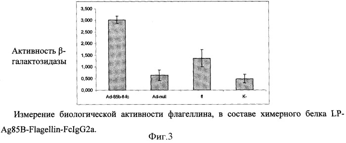 Способ получения рекомбинантной вакцины (патент 2444570)