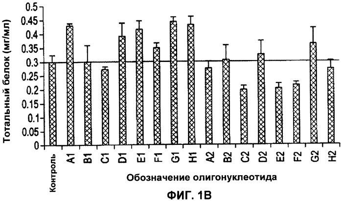 Лечение пролиферативных заболеваний с использованием антисмыслового олигомера iap и химиотерапевтического препарата (патент 2376018)