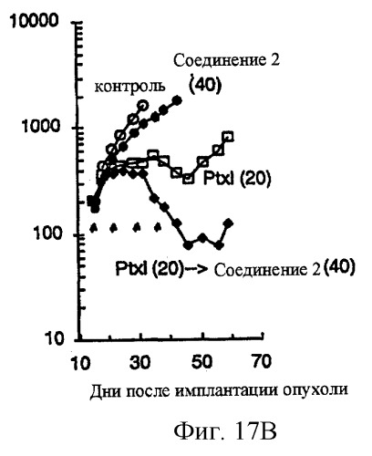 Синергические способы и композиции для лечения рака (патент 2264217)