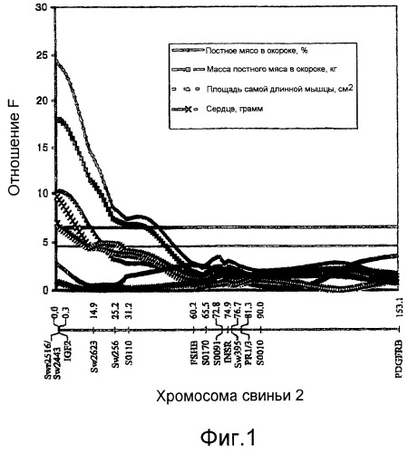 Способ отбора животных по признакам, наследуемым по механизму родительского импринтинга (патент 2262229)