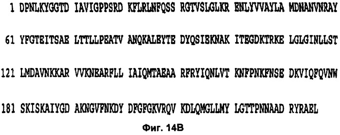 Слитые конструкции лекарственного средства и конъюгаты (патент 2428431)