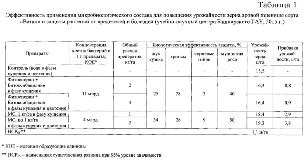 Микробиологический состав для увеличения урожайности сельскохозяйственных культур и их защиты от вредителей и болезней (патент 2654569)