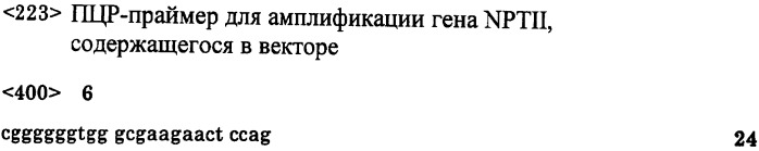 Картофель с повышенным выходом крахмала в пересчете на отдельное растение и способ его получения (патент 2326527)