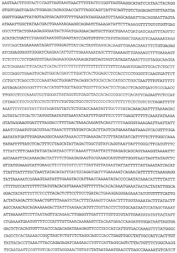 Применение s1p (патент 2362565)