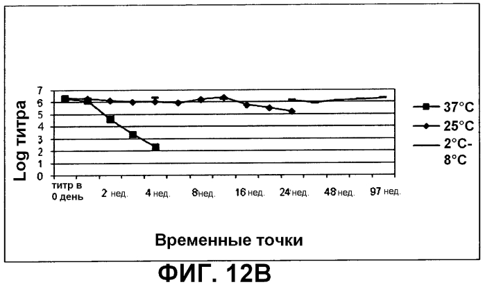 Композиция, применимая в качестве ротавирусной вакцины, и способ ее получения (патент 2553331)