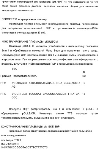 Селективная посттрансляционная модификация экспонируемых фагами полипептидов (патент 2459866)