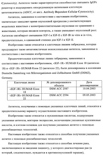 Антитела к рецептору инсулиноподобного фактора роста i и их применение (патент 2363706)