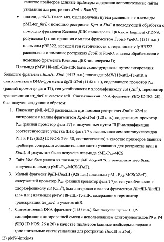 Способ получения l-треонина с использованием бактерии, принадлежащей к роду escherichia, модифицированной таким образом, что в ней нарушена способность к образованию ворсинок типа &quot;керли&quot; (патент 2338782)