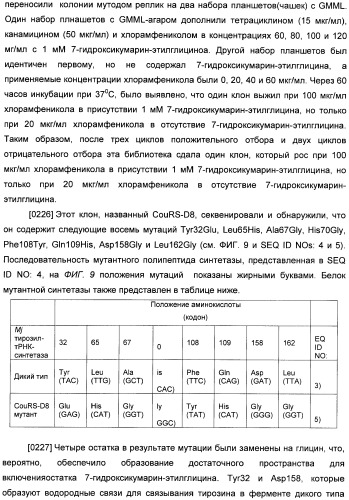 Генетически кодируемые флюоресцентные кумариновые аминокислоты (патент 2473690)