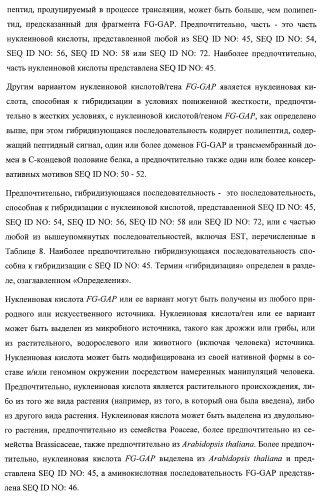 Растения, имеющие улучшенные характеристики роста, и способы их получения (патент 2463352)